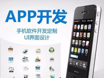 網(wǎng)絡(luò)游戲經(jīng)營項目中的軟件系統(tǒng)開發(fā)實踐與策略